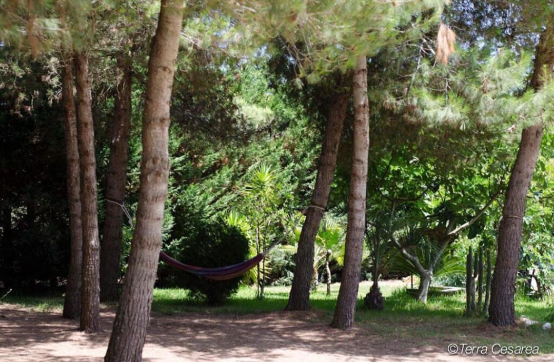 Bed & Breakfast Terra Cesarea *