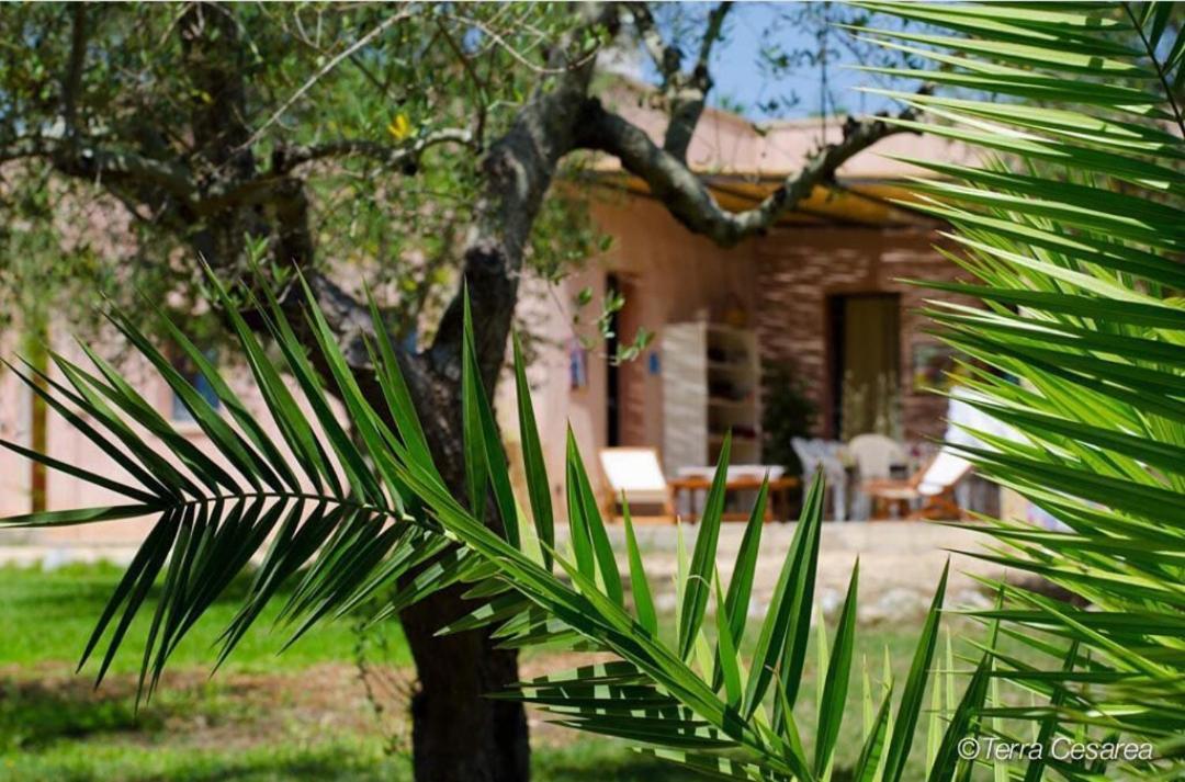 Terra Cesarea Bed & Breakfast Santa Cesarea Terme