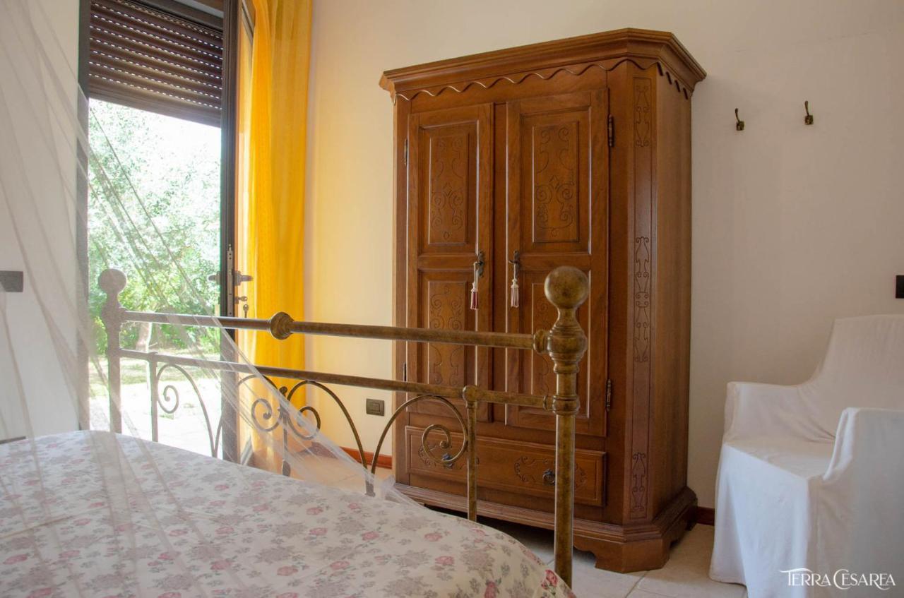 Terra Cesarea Bed & Breakfast *