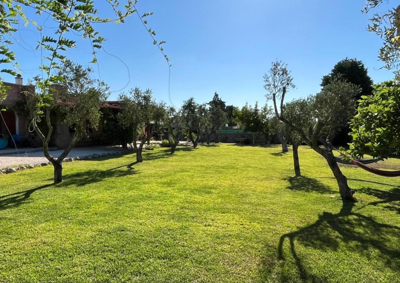 Terra Cesarea Bed & Breakfast *