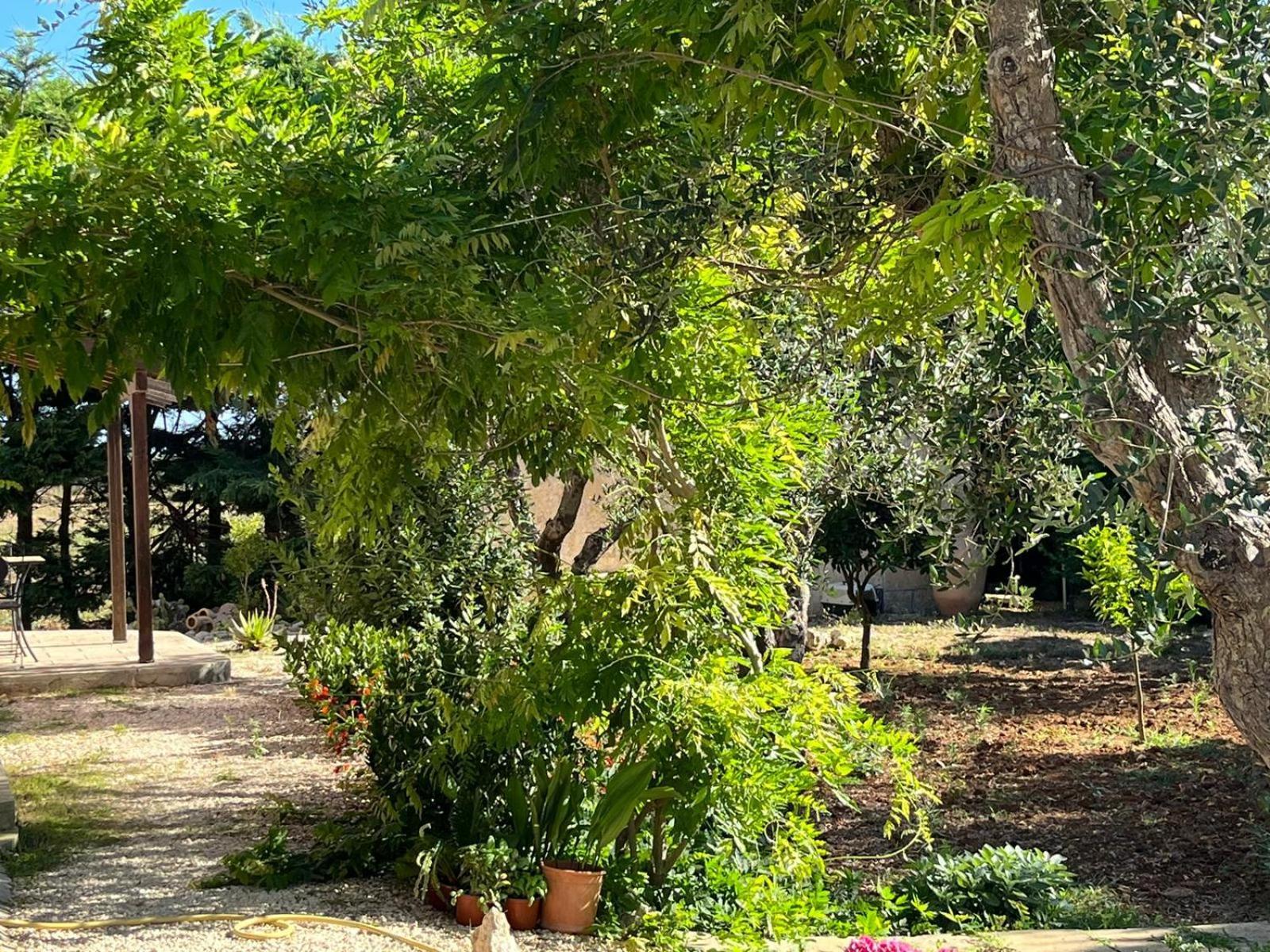 Bed & Breakfast Terra Cesarea